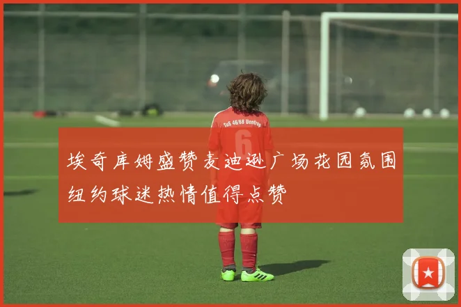 埃奇库姆盛赞麦迪逊广场花园氛围纽约球迷热情值得点赞