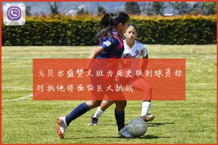 戈贝尔盛赞文班为历史级别球员称对抗他将面临巨大挑战